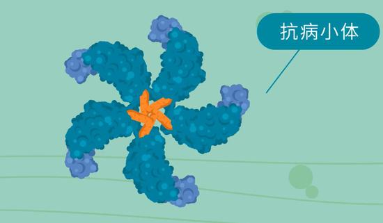 作为农业大国，我们在植物学领域实现了一个重大突破-冯金伟博客园