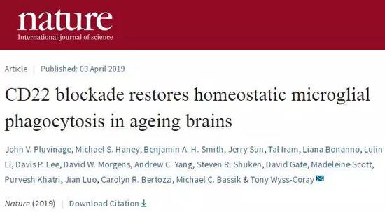 老年痴呆有救了？Nature：阻断特定蛋白或许有希望-冯金伟博客园