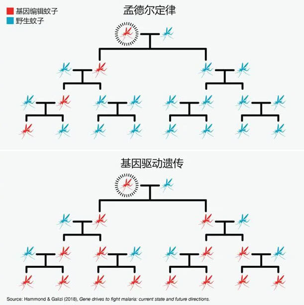 比尔盖茨：为什么基因编辑和人工智能一样值得关注？-冯金伟博客园