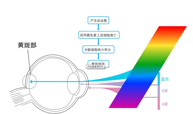 别傻了，你真的以为有了DC调光就能护眼了么？-冯金伟博客园