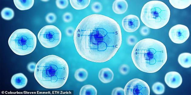 科学家开发“细胞计算机”：人体就是一台大型计算机-冯金伟博客园