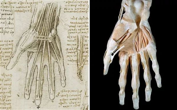 一代艺术大师达·芬奇是如何跟法医抢饭碗的？-冯金伟博客园