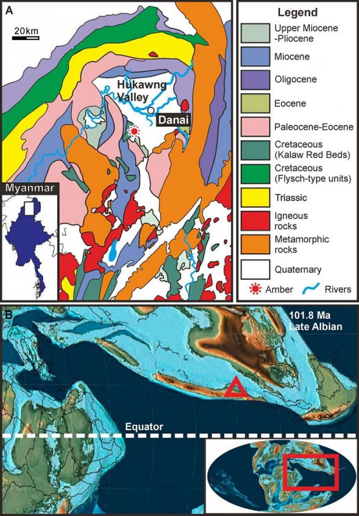 研究人员在一枚琥珀中同时发现海洋生物和陆地昆虫-冯金伟博客园