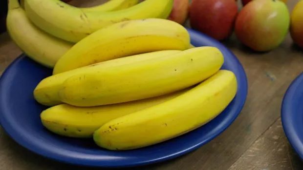 你与香蕉竟然有50%的基因是相同的？-冯金伟博客园