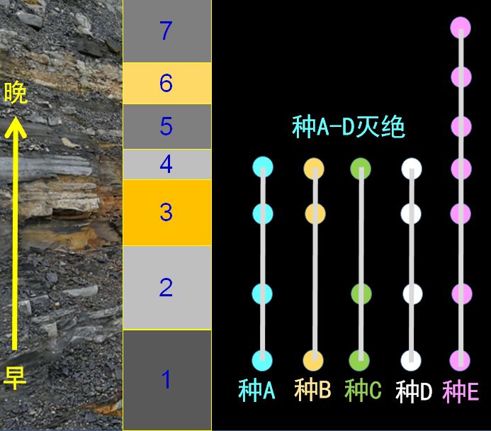 地球史上最大的一次灭绝-冯金伟博客园