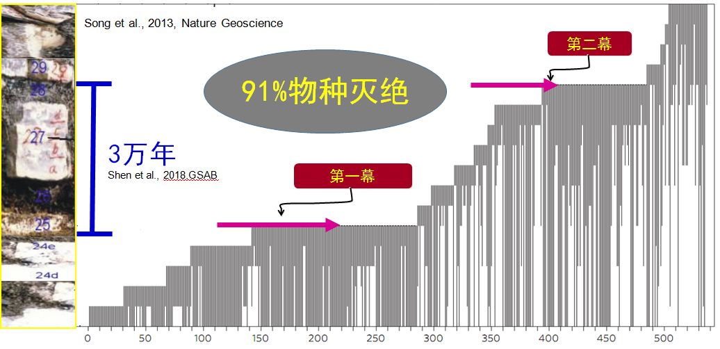 地球史上最大的一次灭绝-冯金伟博客园