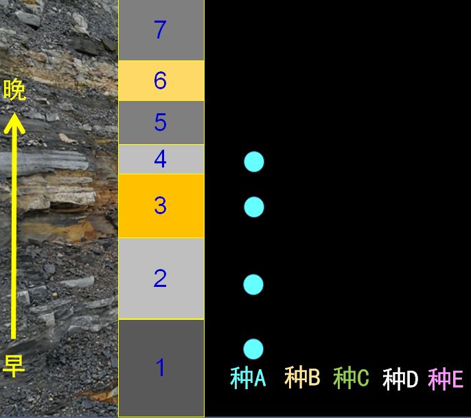 地球史上最大的一次灭绝-冯金伟博客园