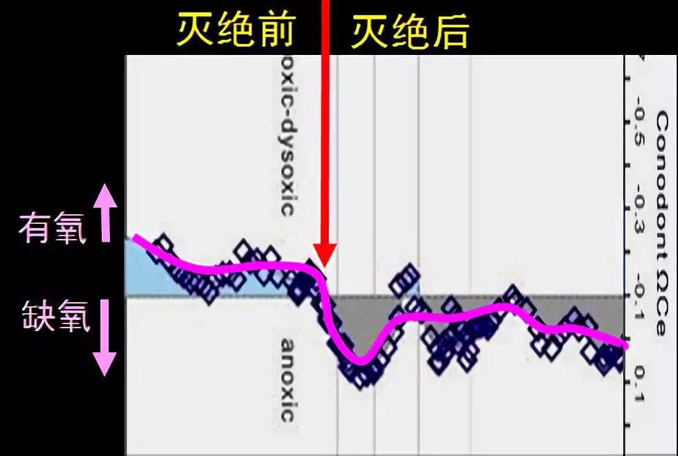 地球史上最大的一次灭绝-冯金伟博客园