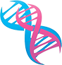 我国科学家开发出基因编辑“安全剪刀” 瞄准攻克罕见病