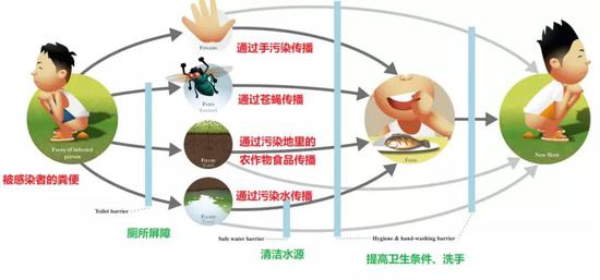 粪便里有新型冠状病毒，是吃进去的吗？