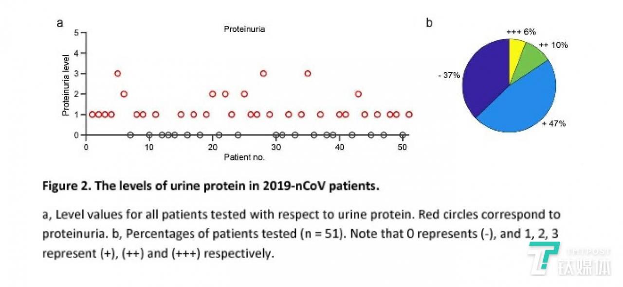 2019-nCoV 患者的尿蛋白水平