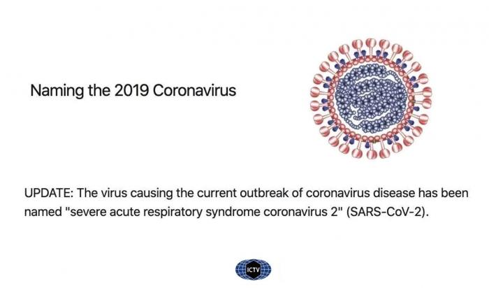 新冠病毒正式命名SARS-CoV-2 与SARS病毒是”姐妹”-冯金伟博客园