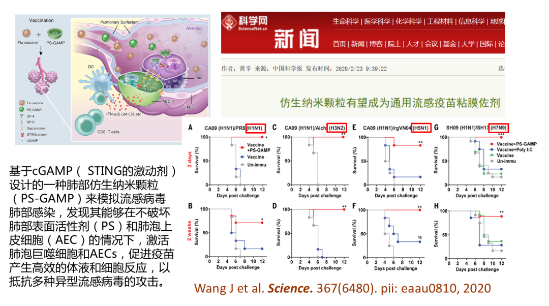 姜世勃教授：新冠病毒疫苗能否研发成功，取决于病毒