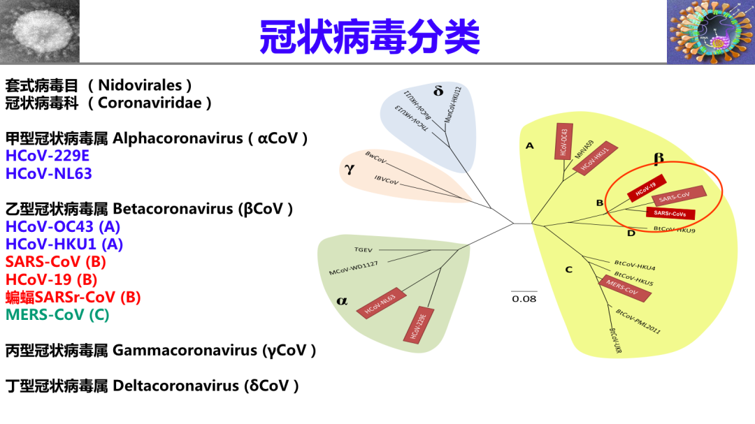 姜世勃教授：新冠病毒疫苗能否研发成功，取决于病毒