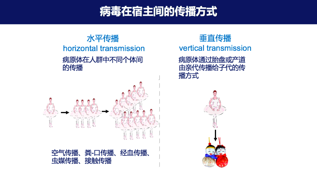 “逆行者”侯金林：病毒感染以后会出现“冰山现象”