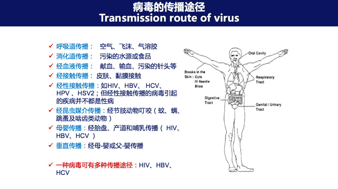 “逆行者”侯金林：病毒感染以后会出现“冰山现象”