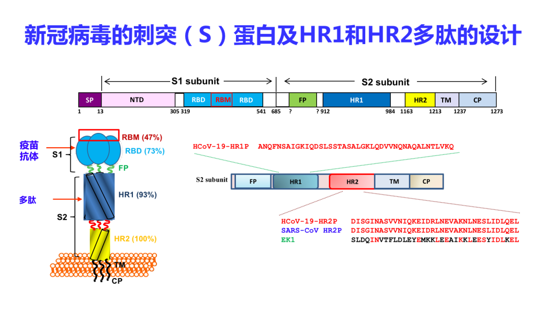 姜世勃教授：新冠病毒疫苗能否研发成功，取决于病毒