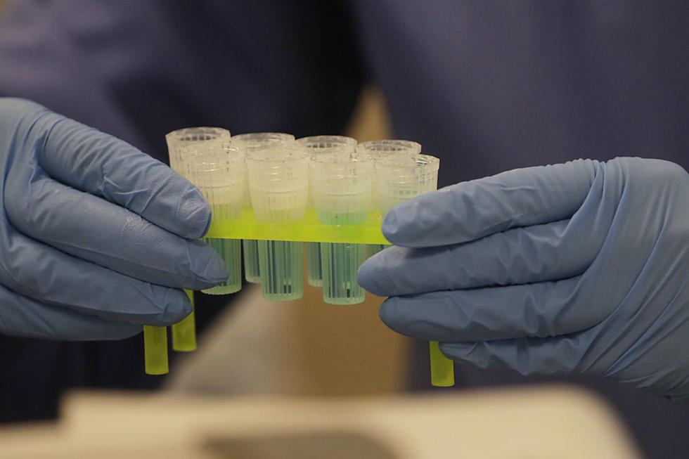 美国团队利用唾液检测新冠病毒 获FDA紧急使用授权