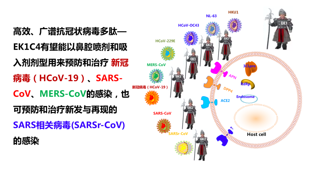 姜世勃教授：新冠病毒疫苗能否研发成功，取决于病毒