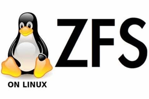 Linux 文件系统 OpenZFS 0.8.4 发布-冯金伟博客园