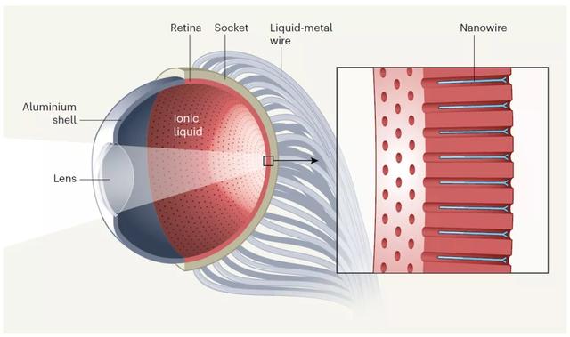 《Nature》：港科大开发高密度人工视网膜，媲美人类视网膜        