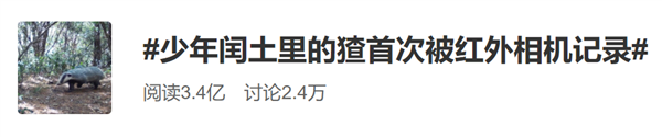 鲁迅笔下的猹原来长这样 它真会偷西瓜吗？