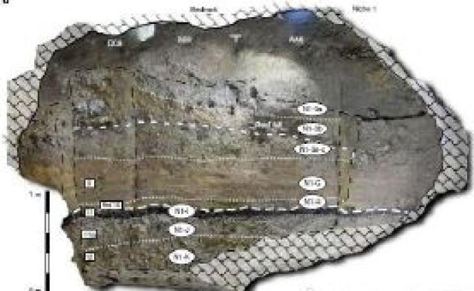 现代人类4.5万年前进入欧洲：一处洞穴遗迹提供新证据