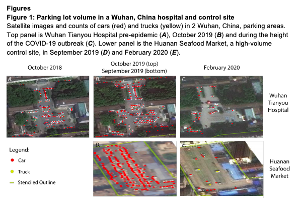 哈佛大学被打脸！医学院论文污蔑中国，特朗普转发，外交部回怼，百度也发声了