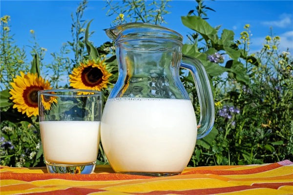千万别喝！研究发现生牛奶含有大量抗生素抗性基因