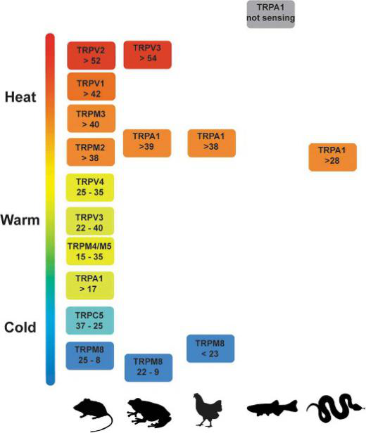 同样是 27℃ 空调的制冷和制热为啥感觉不一样？