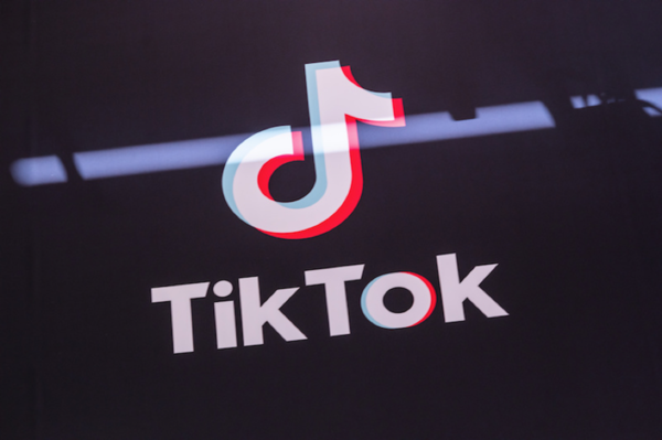 TikTok（图源网）