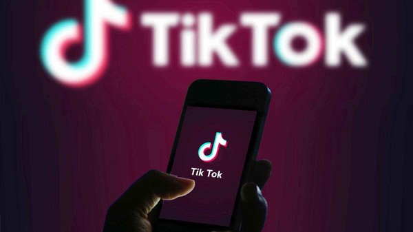 TikTok（图源网）