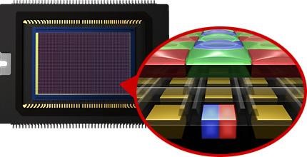 什么因素决定了手机拍照效果?最常见的几种用于手机上的对焦技术