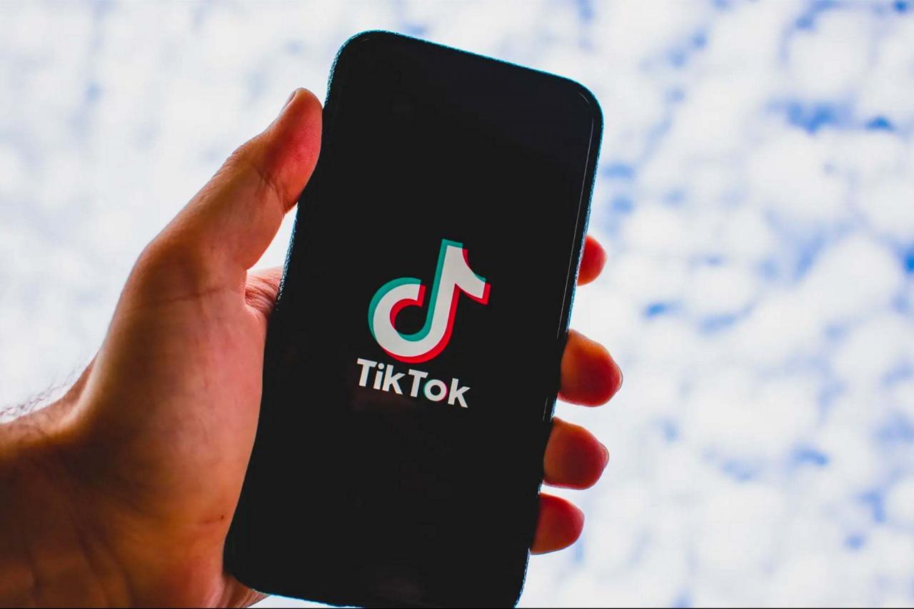 TikTok起诉特朗普胜率几何？关停是否为最优解？