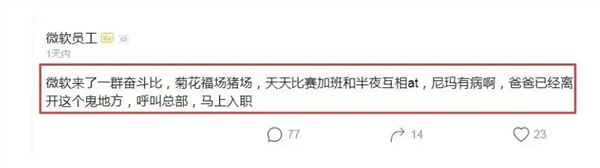 微软内部人士回应抵制华为阿里员工加班：只是玩梗