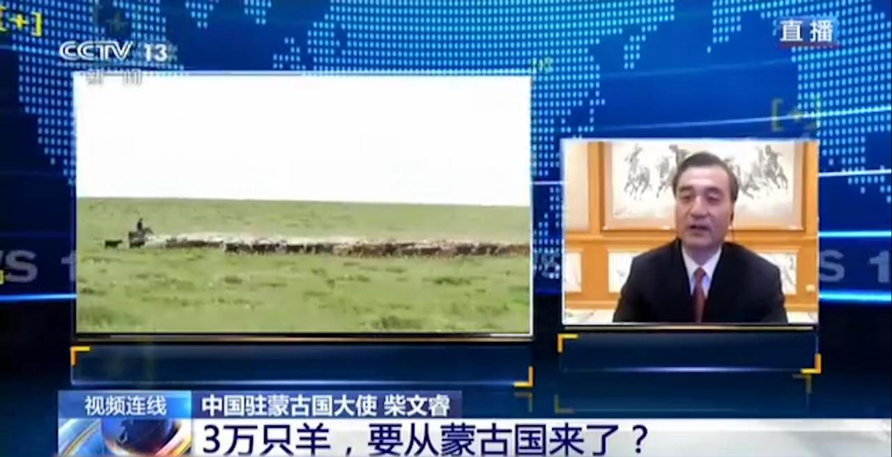 3万只羊即将进京赶“烤” 蒙古国：希望送给武汉人民