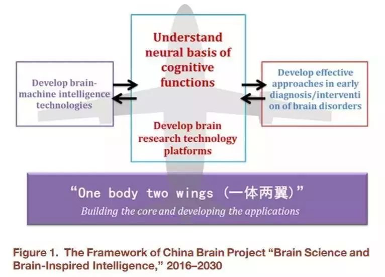 中国脑计划的“一体两翼”结构研究布局