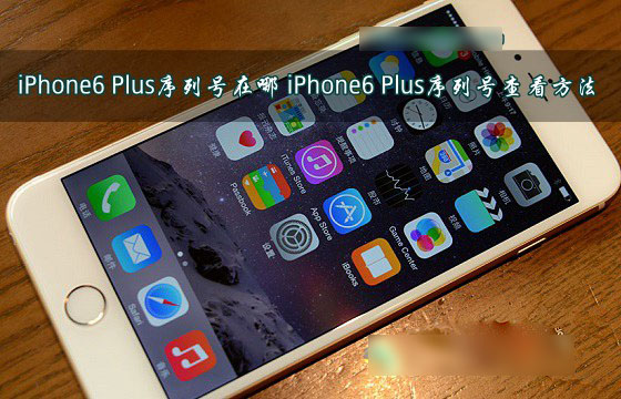 iPhone6 Plus序列号在哪里？三种苹果iPhone6 Plus序列号查看方法图解