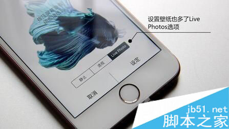 iphone6s/Plus动态锁屏壁纸制作教程  iPhone6s/Plus自制live photo动态锁屏壁纸导入图