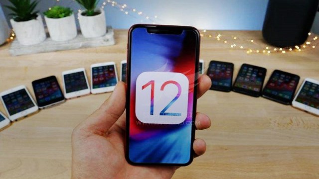 ios12公测版描述文件在哪 iOS12公测版描述文件下载地址及安装方法