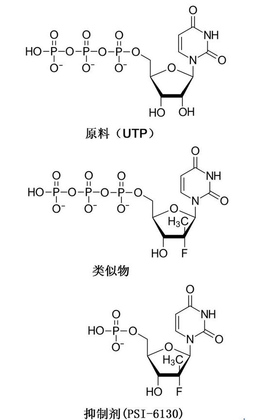 诺贝尔生理学或医学奖：丙肝病毒的发现为何意义巨大-冯金伟博客园