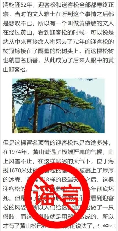 迎客松为塑料树？黄山风景区辟谣：目前长势良好 各类监测指标正常