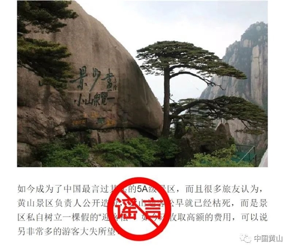 迎客松为塑料树？黄山风景区辟谣：目前长势良好 各类监测指标正常