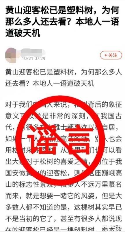 迎客松为塑料树？黄山风景区辟谣：目前长势良好 各类监测指标正常