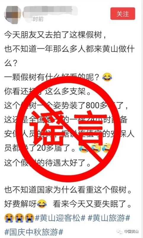 迎客松为塑料树？黄山风景区辟谣：目前长势良好 各类监测指标正常