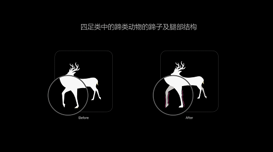 EMUI 11 UX设计一探究竟：这就是鸿蒙OS的提前预演