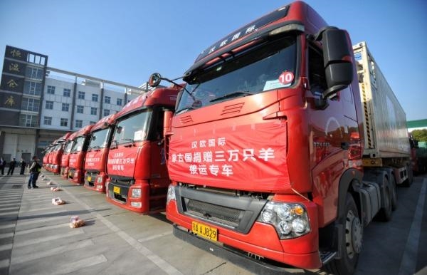 接蒙古国捐赠羊的车队从武汉出发：10台冷链车 首批运回1.2万只
