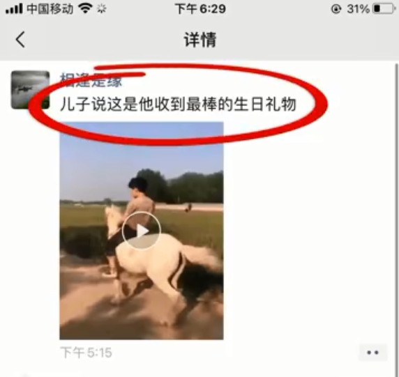 双11父亲网购一匹白马：儿子爱看《西游记》喜欢白龙马