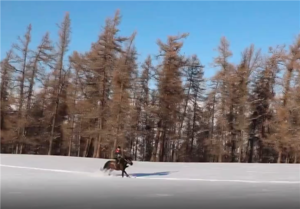 新疆快递员雪地骑马送快递：骑马来的不只王子