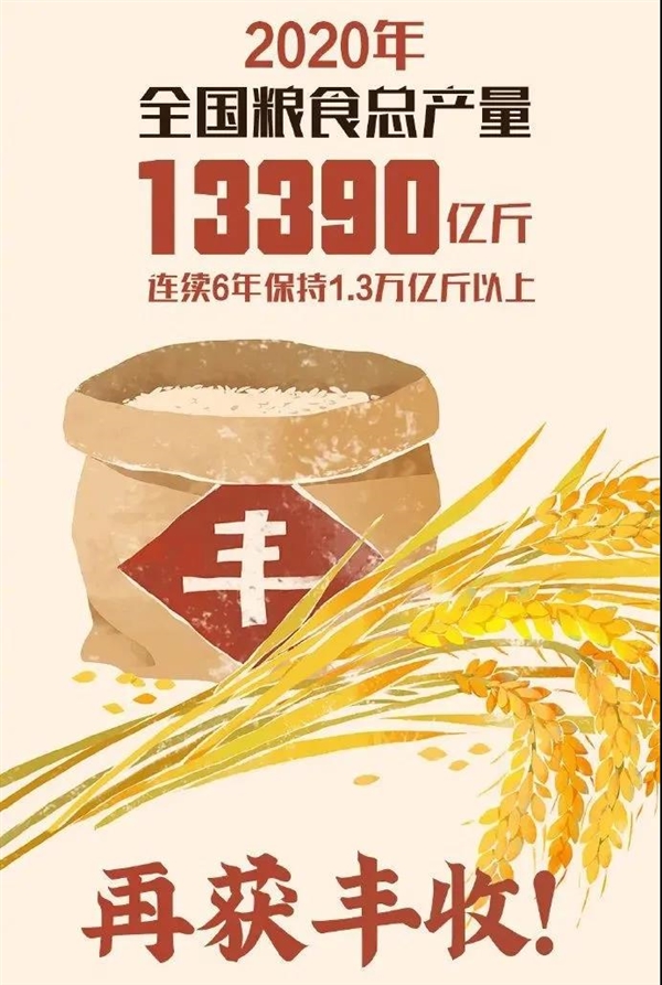 2020年全国粮食产量13390亿斤：黑龙江一骑绝尘